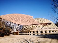 -牛首山文化旅游区