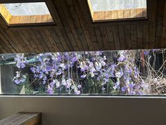 -Lamant Manor已闻花名关於蓝