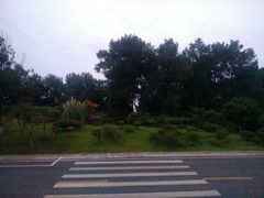 景点-铁山坪森林公园