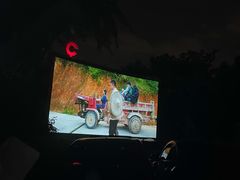 -枫花园汽车电影院(朝阳公园店)