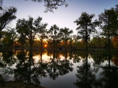 -金塔沙漠胡杨林景区