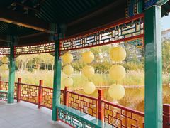 -西海子公园