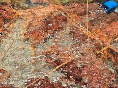 -渔傅·霞浦滩涂海鲜(建平店)