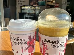 拳击菠-Wagas沃歌斯(环贸店)