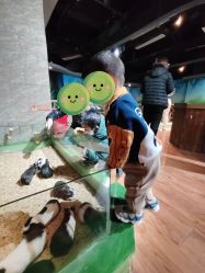 -未来动物城动物主题公园(大悦城店)