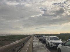 -南汇嘴观海公园