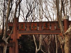 -灵谷景区
