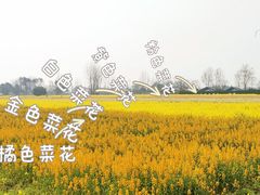 -中国天府农业博览园