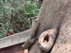 -昆明动物园