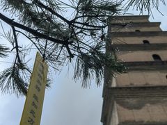 -大慈恩寺(大雁塔)