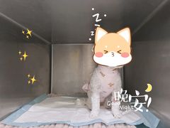 -美迦爱-牙专科·兔科·骨科诊疗中心(北苑店)