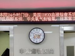 -申普宠物医院·心脏介入·心血管微创(总院)