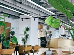 -2326 Coffee Roaster咖啡豆可选店(林肯公园店)