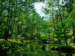 -西芳寺(苔寺)