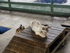 -秦皇岛野生动物园