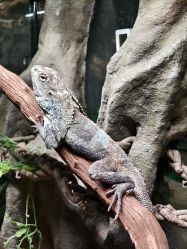 -Zoolung Zoolung动物主题公园(海信广场店)