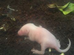 -上海大自然野生昆虫馆