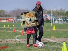 -Riverside河畔少儿足球培训(前滩店)