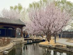 -春风习习