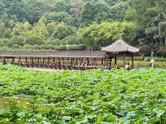 -龙头寺公园