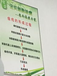 -云贝细胞祛痘痘印