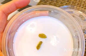 Handmade Yogurt