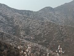 -北京凤凰岭