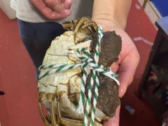 -黄记大闸蟹专卖店·活蟹·醉蟹