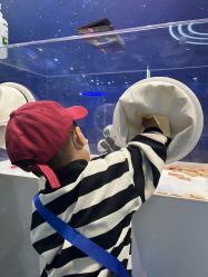 -北京科学中心儿童乐园