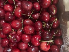 -麦德龙(闵行店)