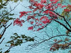-叠溪松坪沟景区
