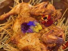 -Hi City·城市之巅