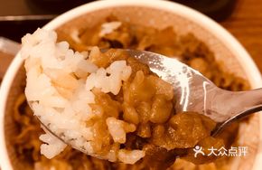 Beef Rice (Medium Bowl)