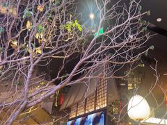 -桂满陇·海市蜃楼·黑金(国金店)