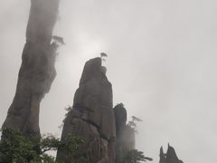 -三清山风景名胜区