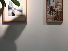-猫里有甜