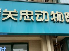 -瑞派·关忠动物医院·猫专科·犬专科(三环新城店)