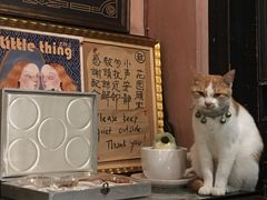 -古董花园(思南路42弄小区店)