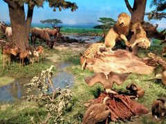 -国家自然博物馆