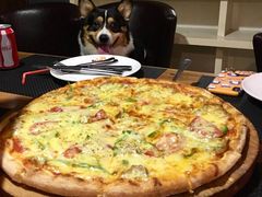 -百好乐宠物友好餐厅(朝外大街店)