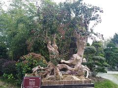 -武汉紫薇都市田园