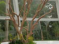 -深圳国际园林花卉博览园