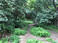 -白水寺森林公园