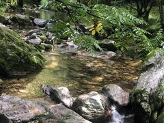 -牛背梁国家森林公园