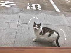 -侘寂甜品(自取店)