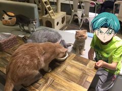 -小时光咖啡馆(开森度假森林店)