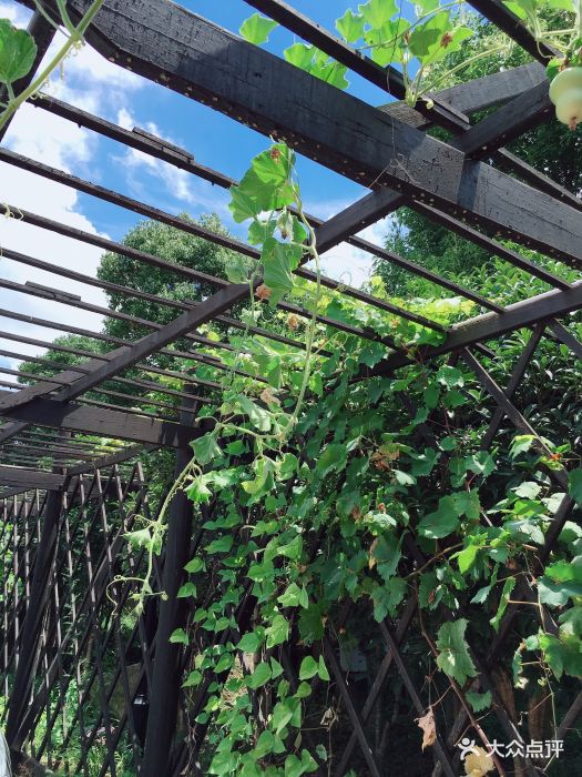 若田农庄图片 - 第12张