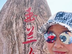 -合肥滨湖国家森林公园