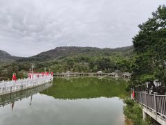 -沂蒙山旅游区云蒙景区(蒙山国家森林公园)