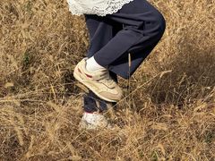 -菊园百果园
